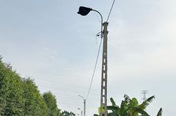 Khắc phục t&igrave;nh trạng điện chiếu s&aacute;ng ảnh hưởng đến c&acirc;y trồng