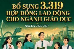 Bổ sung 3.319 hợp đồng lao động cho ngành giáo dục