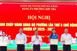 Phường Sơn Trà thu ngân sách nhà nước đạt hơn 461 tỷ đồng