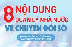 [Infographic] 8 nội dung quản lý nhà nước về chuyển đổi số từ ngày 1-7-2026