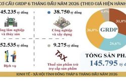 Đồng Th&aacute;p: GRDP 6 th&aacute;ng đầu năm 2026 tăng 7,14%, đứng thứ 2 khu vực Đồng bằng s&ocirc;ng Cửu Long