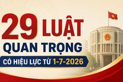 [Infographic] 29 luật quan trọng c&oacute; hiệu lực từ 1-7-2026