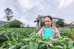 Na Dương chuyển mình nhờ đổi cây