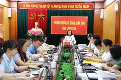 Thường trực HĐND tỉnh họp thường kỳ th&aacute;ng 7