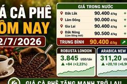 Gi&aacute; c&agrave; ph&ecirc; h&ocirc;m nay 2/7 tăng mạnh, Robusta v&agrave; Arabica c&ugrave;ng bứt ph&aacute;