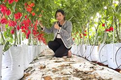 Tối ưu h&oacute;a doanh thu tr&ecirc;n từng thửa vườn