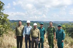 Nỗ lực giữ màu xanh rừng đầu nguồn