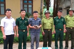 Tiếp nhận 2 cá thể Tê tê java để cứu hộ