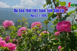 Dự b&aacute;o thời tiết to&agrave;n tỉnh Sơn La ng&agrave;y 3/7/2026