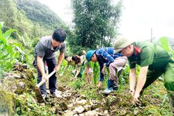 Mở đường tuần tra biên giới