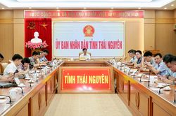 Ngành Nông nghiệp và Môi trường quyết liệt hoàn thành các mục tiêu năm 2026