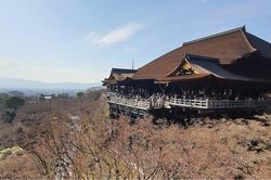 Du ký qua các kinh đô xứ Phù Tang - Bài 2: Đến Kyoto xem bảo tồn di sản