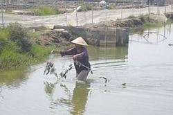 Bản đồ sức khỏe cho đầm ph&aacute; Tam Giang - Cầu Hai
