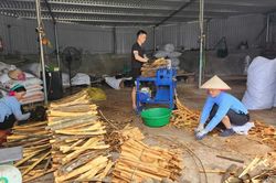 Quảng Ninh: Hơn 214.000 tỷ đồng 'chảy' vào khu vực kinh tế tư nhân trong 6 tháng đầu năm