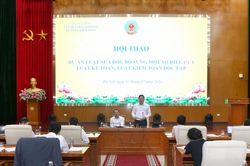 Bộ T&agrave;i ch&iacute;nh lấy &yacute; kiến x&acirc;y dựng dự thảo Luật sửa đổi, bổ sung Luật Kế to&aacute;n v&agrave; Luật Kiểm to&aacute;n độc lập