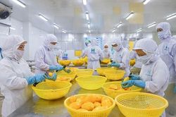 Nông nghiệp Hùng Hậu chuyển nhượng 4,4% vốn tại Thực phẩm Hùng Hậu cho công ty cùng hệ sinh thái