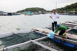 Chương trình tín dụng nông, lâm, thủy sản giải ngân đạt 219.000 tỷ đồng