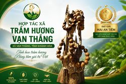 Li&ecirc;n kết tạo n&ecirc;n gi&aacute; trị, Trầm hương Vạn Thắng bay xa