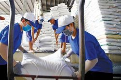Xuất khẩu n&ocirc;ng, l&acirc;m, thủy sản 6 th&aacute;ng đầu năm tăng 6%