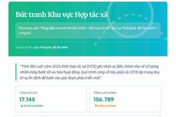 Các HTX đang duy trì quy mô bộ máy tinh gọn