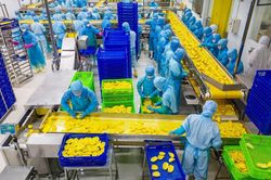 Antesco dừng mở rộng nhà máy Bình Long, rót 419 tỷ đồng xây nhà máy ở Tây Ninh
