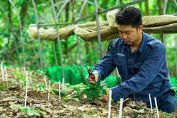 Nông sản Việt tăng cường xuất khẩu, kim ngạch đạt gần 36 tỷ USD