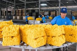 Cơ hội để ngành cao su Việt bứt phá