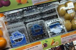Công ty Greenland nhập lậu quả việt quất tươi trị giá hơn 10 tỷ đồng