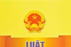 Không thể nhân danh 'phản biện', 'khai phóng' để xuyên tạc lịch sử, lãnh tụ