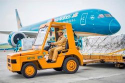 L&atilde;i mạnh qu&yacute; I/2026, H&agrave;ng h&oacute;a Nội B&agrave;i (NCT) chi hơn 209 tỷ đồng trả cổ tức