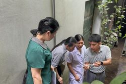 Viện vệ sinh dịch tễ Trung ương giám sát các chỉ số véc tơ truyền bệnh sốt xuất huyết Dengue tại tỉnh