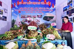 Đặc sản địa phương được trưng bày, giới thiệu tại ngày hội OCOP