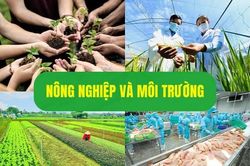 Ng&agrave;nh N&ocirc;ng nghiệp v&agrave; M&ocirc;i trường x&acirc;y dựng Kế hoạch ph&aacute;t triển kinh tế - x&atilde; hội năm 2027