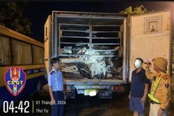 Quảng Ninh: Thu giữ gần 9 tấn da tr&acirc;u muối kh&ocirc;ng r&otilde; nguồn gốc