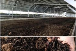 Nuôi trùn quế dưới điện mặt trời: Lợi ích 'kép' trên một diện tích
