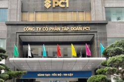 Làm rõ sai phạm tại Tổng công ty Truyền tải điện Quốc gia