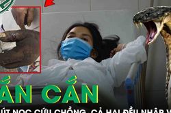 Hút nọc độc cứu chồng bị rắn cắn, cả hai cùng nhập viện vì sai lầm nhiều người mắc