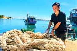 Giá nhiên liệu giảm, ngư dân tự tin bám biển