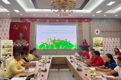 Bổ sung dinh dưỡng v&agrave; hỗ trợ ph&aacute;t triển thể chất cho hơn 15.700 học sinh v&ugrave;ng kh&oacute; khăn