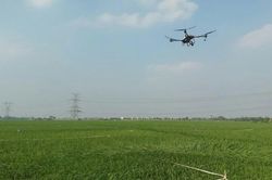 Bổ sung 3 hoạt chất mới v&agrave;o Danh mục thuốc bảo vệ thực vật được ph&eacute;p sử dụng tại Việt Nam
