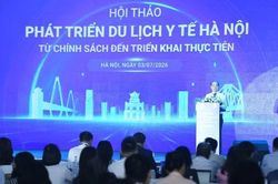 Thảo luận các giải pháp xây dựng Hà Nội thành điểm đến du lịch y tế chất lượng cao