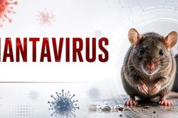 Ổ dịch do virus Hanta (chủng Andes-ANDV) đã được kiểm soát và không còn là nguy cơ y tế công cộng