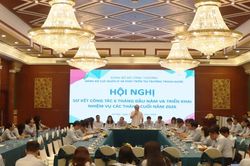 Nâng cao hiệu quả quản lý và phát triển thị trường trong nước