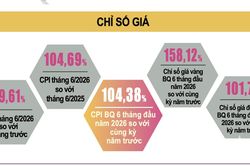 CPI tăng 4,38% trong nửa đầu năm 2026