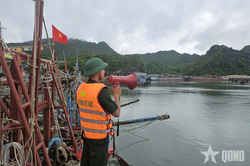 Bộ đội Biên phòng thành phố Hải Phòng khẩn trương triển khai các biện pháp ứng phó với bão số 1