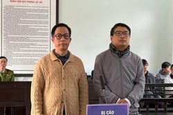 Nâng khống học phí chứng chỉ ngoại ngữ, cựu Giám đốc Đại học Huế nhận án 13 năm tù