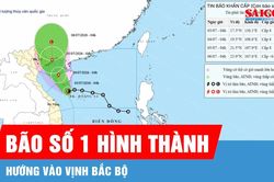 B&atilde;o số 1 h&igrave;nh th&agrave;nh, hướng v&agrave;o vịnh Bắc bộ
