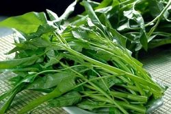 Rau muống giá vài nghìn đồng ở Việt Nam, ra nước ngoài thành 'đặc sản' đắt đỏ