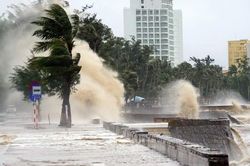 Hải Ph&ograve;ng cấm t&agrave;u thuyền ra khơi