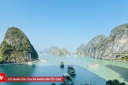 Quảng Ninh tạm ngừng cấp ph&eacute;p t&agrave;u hoạt động tr&ecirc;n biển